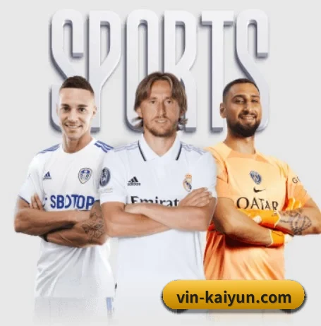 五大服务分区,信息按项目分类 - kaiyun